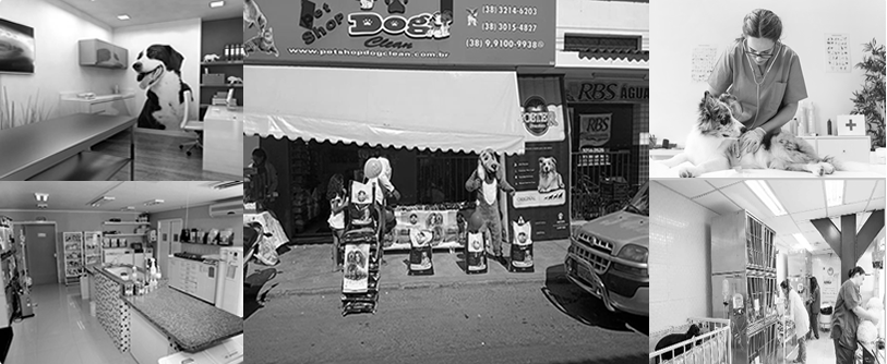 PET SHOP DOG CLEAN